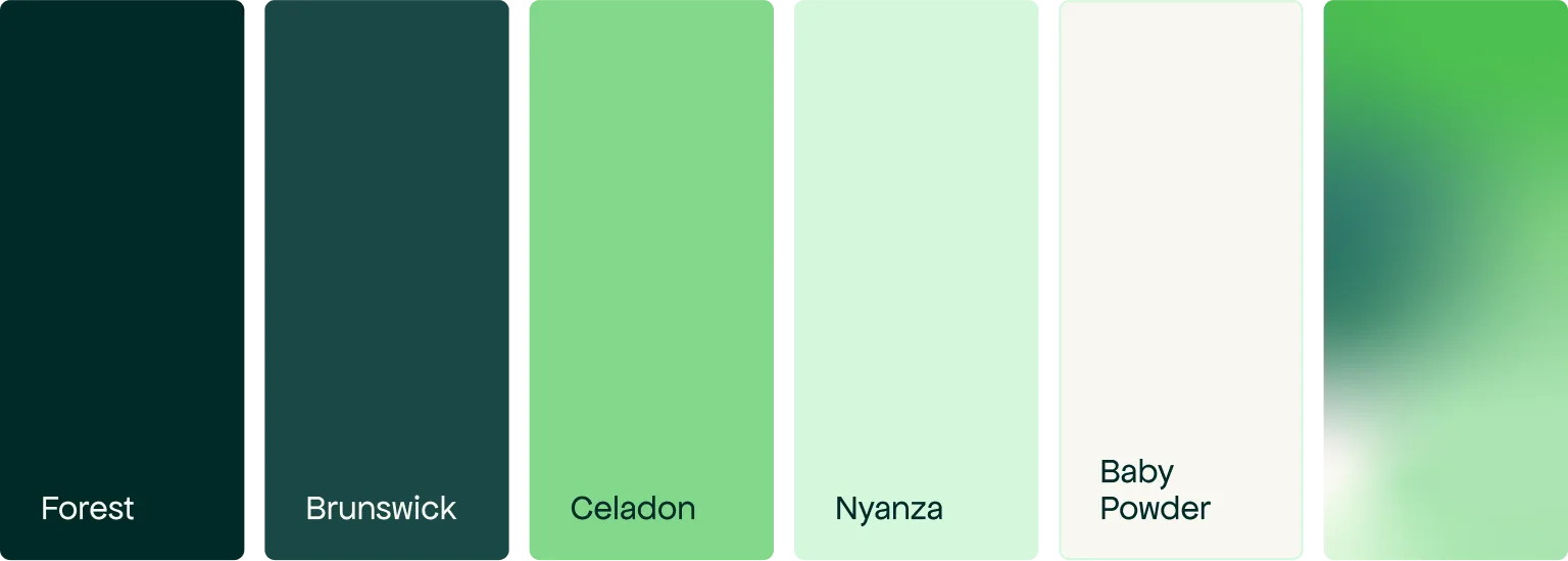 Palette de couleurs de la nouvelle identité visuelle de Beyond Numbers : Forest, Brunswick, Celadon, Nyanza, Baby Powder et dégradé