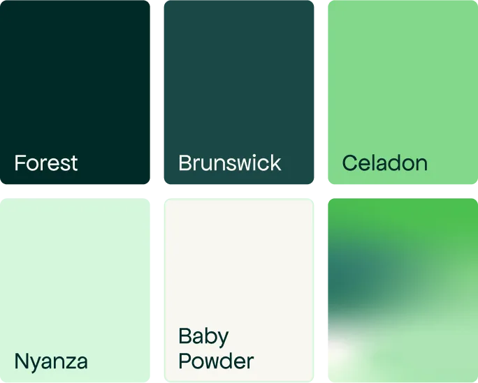 Palette de couleurs de la nouvelle identité visuelle de Beyond Numbers : Forest, Brunswick, Celadon, Nyanza, Baby Powder et dégradé